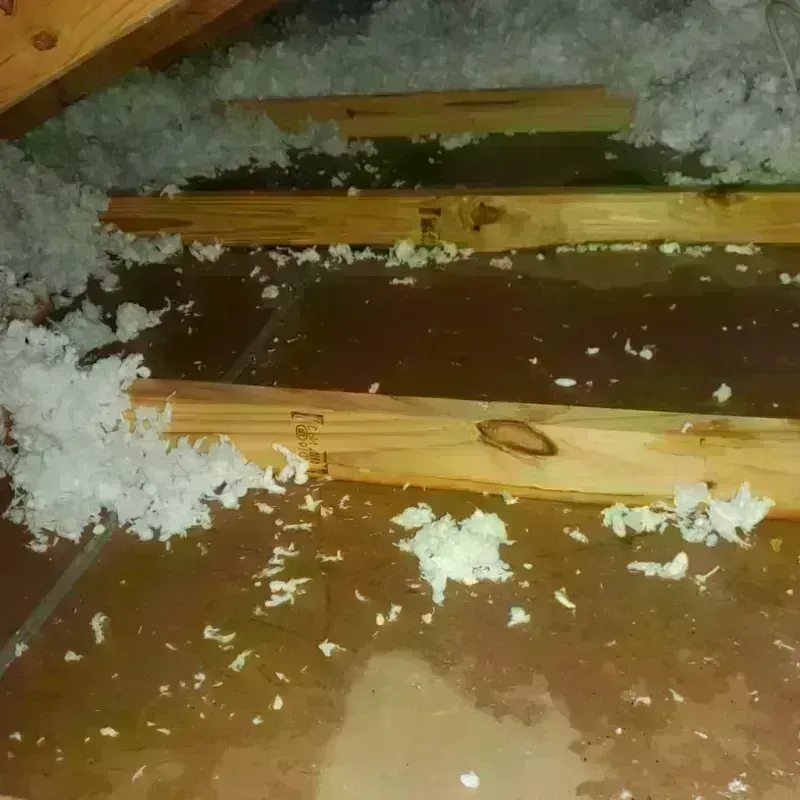 Attic Water Damage in Lima, NY